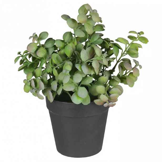 Umělá květina v květináči  herbs 2 20cm