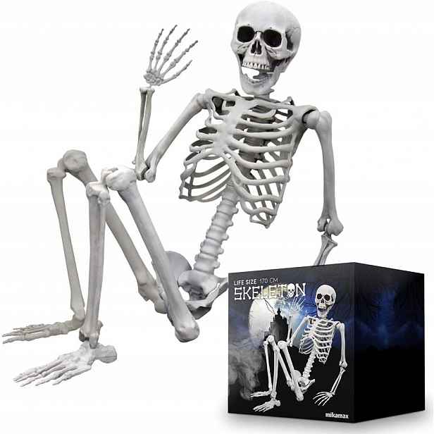 Kostra Člověka Kostlivec Halloween Lebka 170cm Kostlivec Dekorace