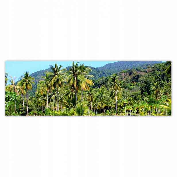 Plakáty 200x66 Krásná amazonka