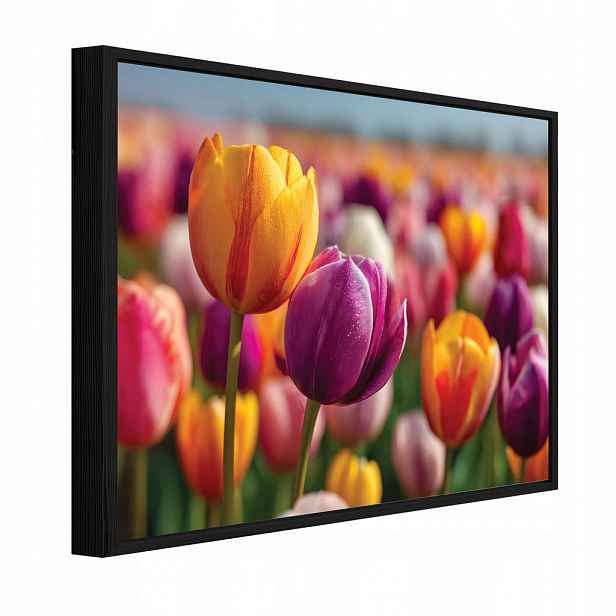 Wallarena ZARÁMOVANÉ obrazy květin tulipánů barevné 120x80 cm
