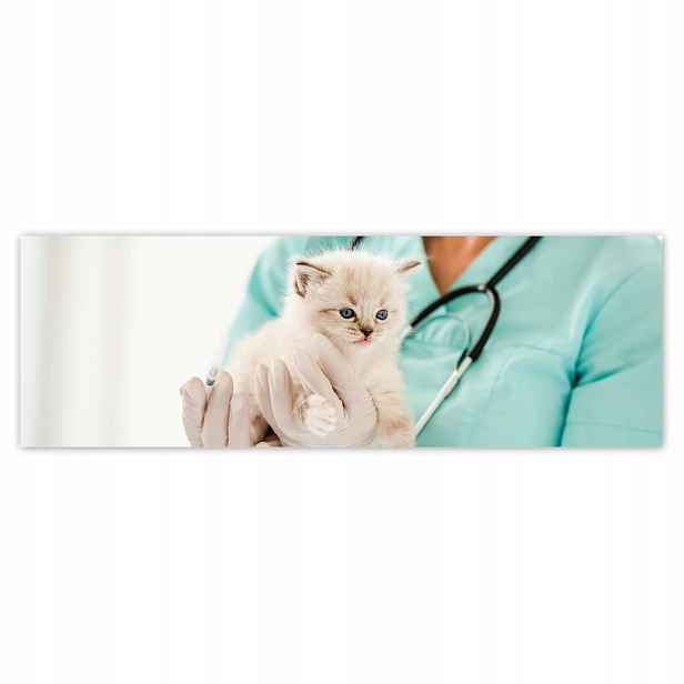 Plakáty 200x66 Kočička veterinář klinika
