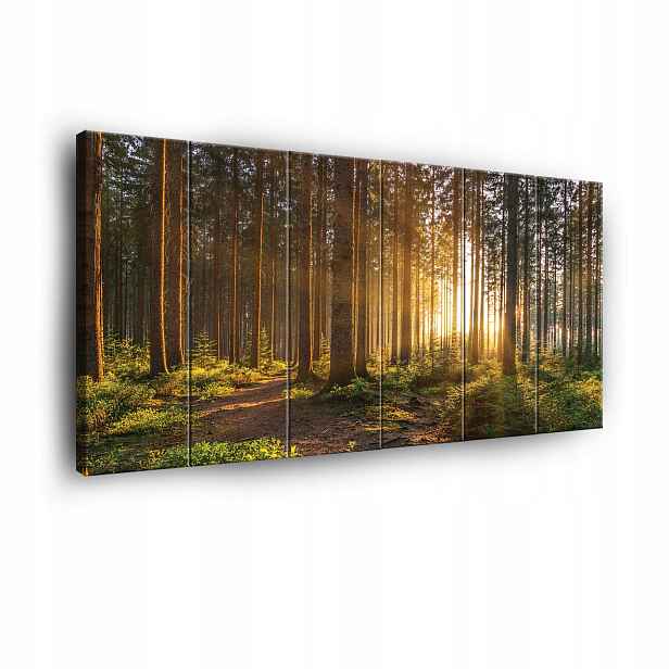 Obraz Les Příroda Pohled Na Plátno Zeď 6 Částí Ložnice Obývací Pokoj 180x100
