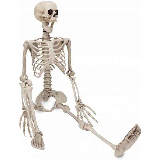 Pohyblivá kostra na Halloween, 90 cm, realistický anatomický model