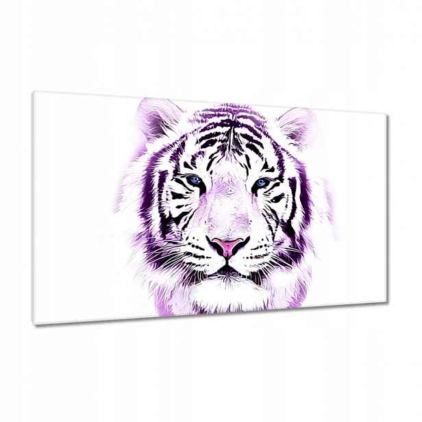 Obrazy 120x70 Jemná grafika Tygr na bílém pozadí Tiger