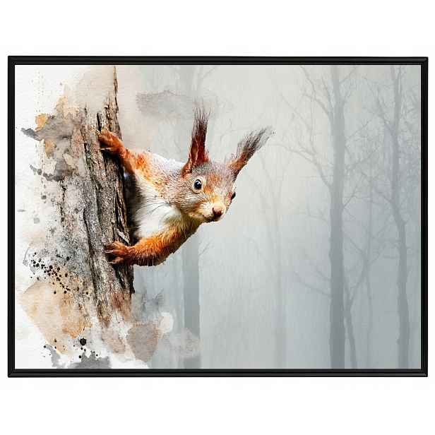 Plakát Rámeček Hliníkový Veverka Les Příroda Strom Akvarel 80x60
