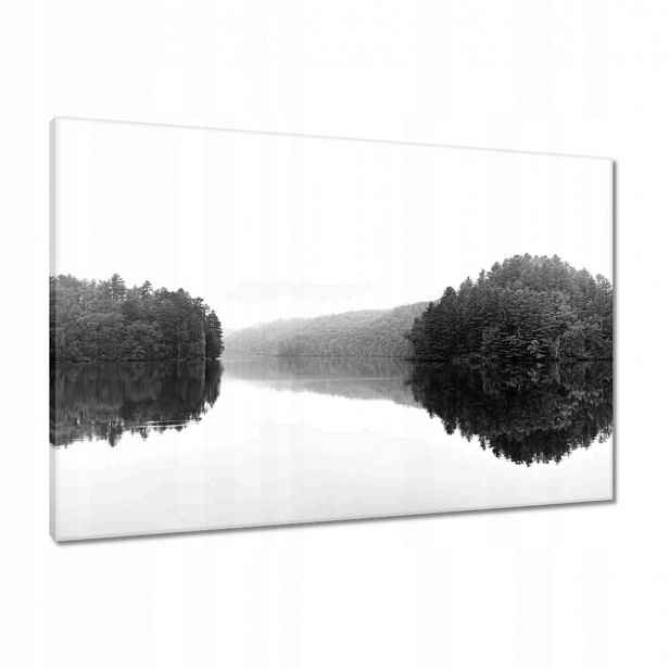 Obrazy 90x60 Jezero Ostrov Černá