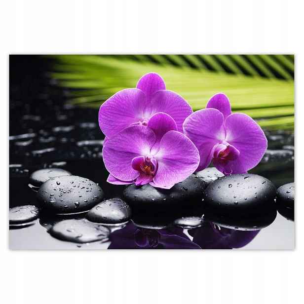Fototapety 152x104 Orchidej na Valentýna