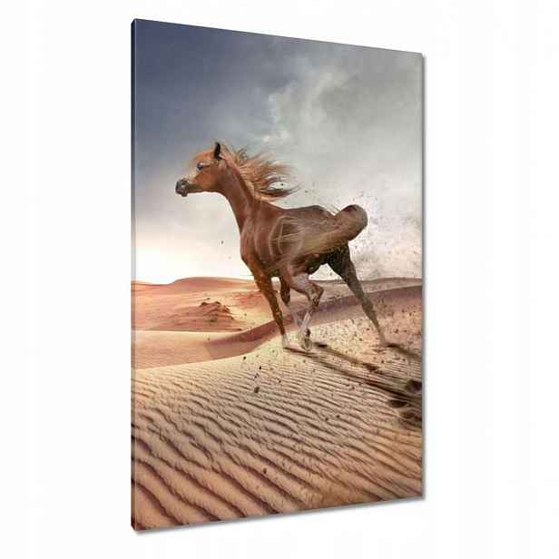 Obrazy 80x120 Cválající kůň