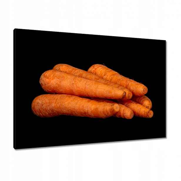 Obrazy 100x70 Oranžové mrkve