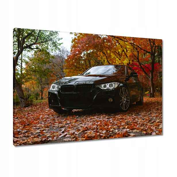 Obrazy 100x70 Černé Bmw Podzim