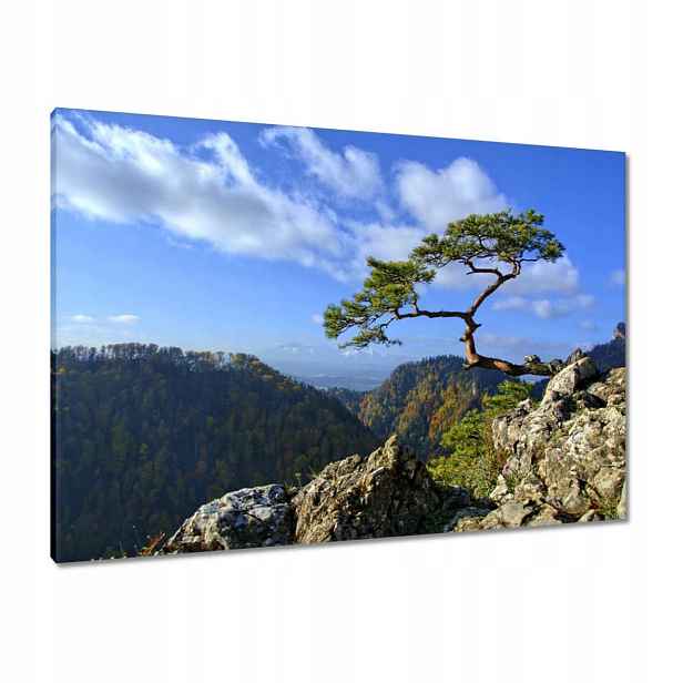 Obrazy 100x70 Krajina Pohledy Krajina