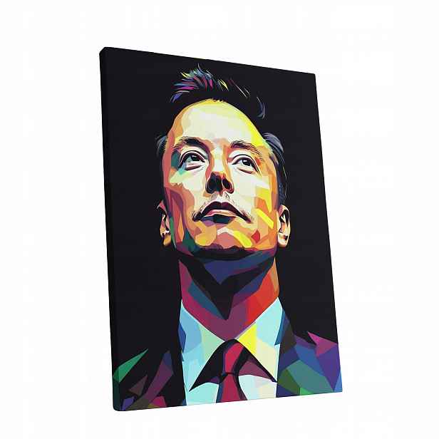 Obraz na plátně Portrét Elon Musk v obývacím pokoji Elona Muska dárek 60x80