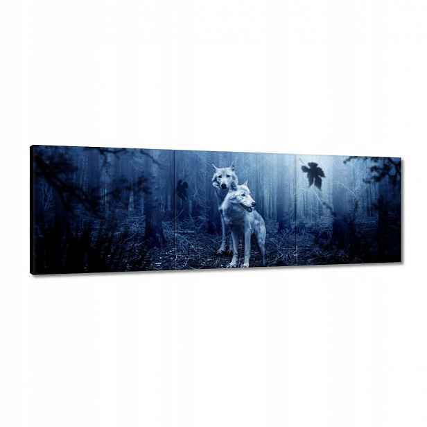 Obrazy 120x40 Vlk a vlk Wolf