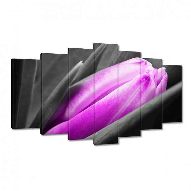 Obrazy 140x80 Fialový tulipán