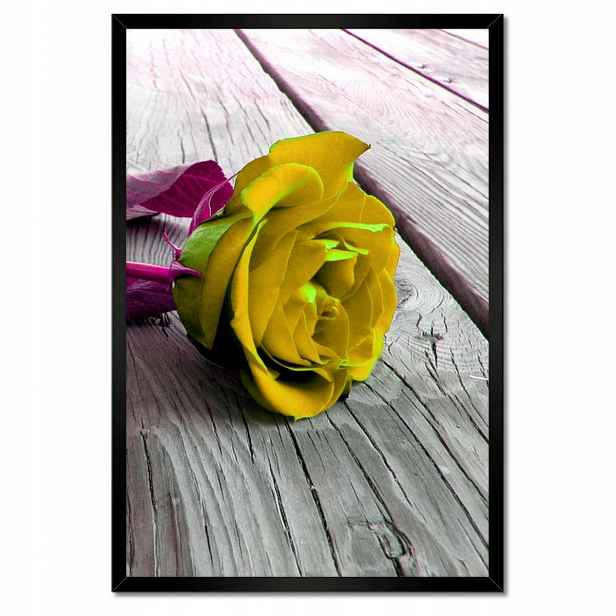 Plakáty v rámu 40x60 Freeky rose