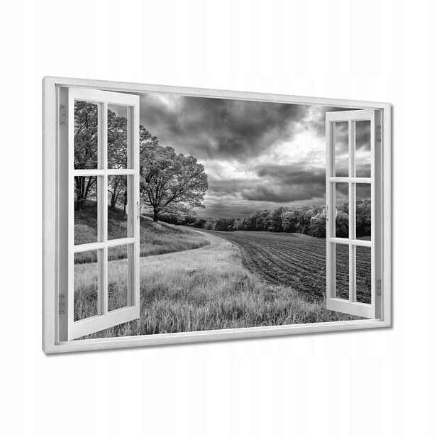 Obrazy 120x80 Černobílé pole
