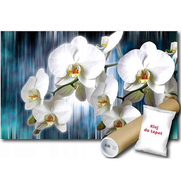 Fototapeta Bílé Orchideje 9D Fxl 208x146 F1668