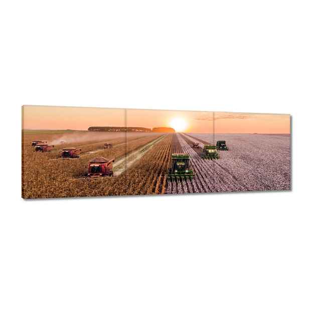 Obrazy 150x50 Žně Zemědělství Kombajny
