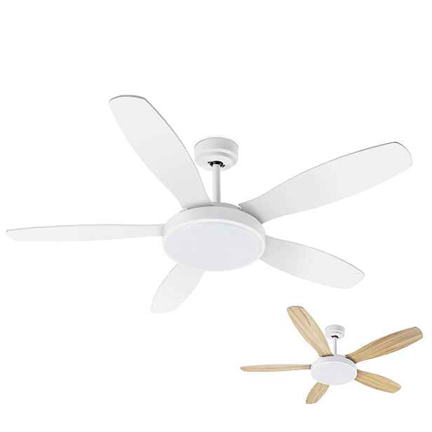 Noaton 12132WWB Maia, bílá a javor, stropní ventilátor se světlem (Zánovní)