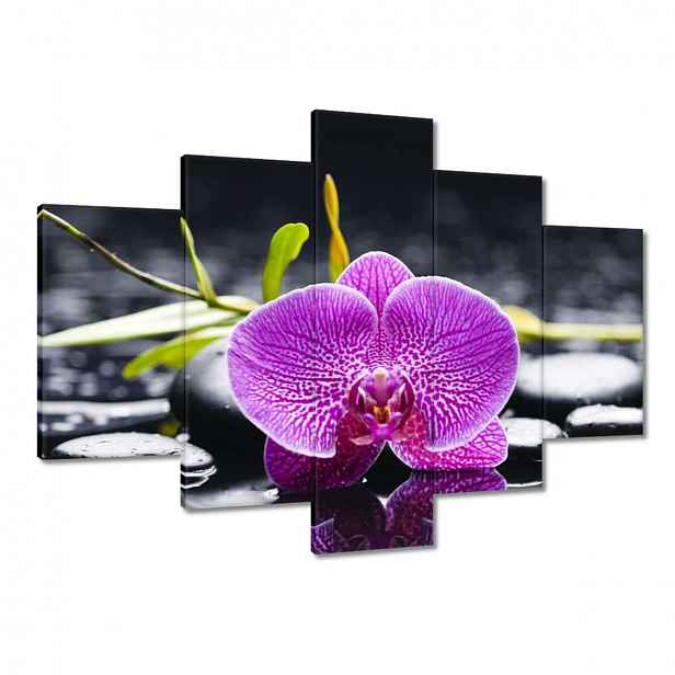 Obrazy 150x105 Fialová orchidej