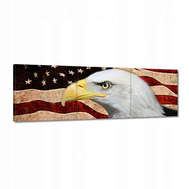 Obrazy 120x40 Americký orel