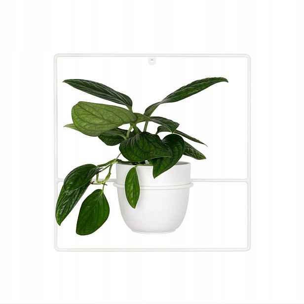 Držák Na Květináč Pilea+ nástěnný závěsný kovový velký na zeď, bílý