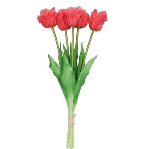 Kytice 5ks tmavě růžových realistických tulipánů Tulips Papagayo - 39 cm daan kromhout
