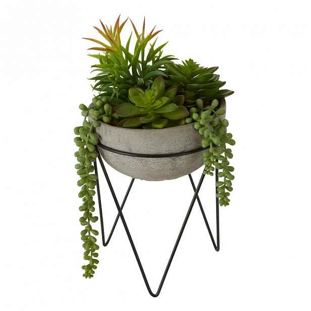 Umělý sukulent v šedém květináči Premier Housewares Fiori