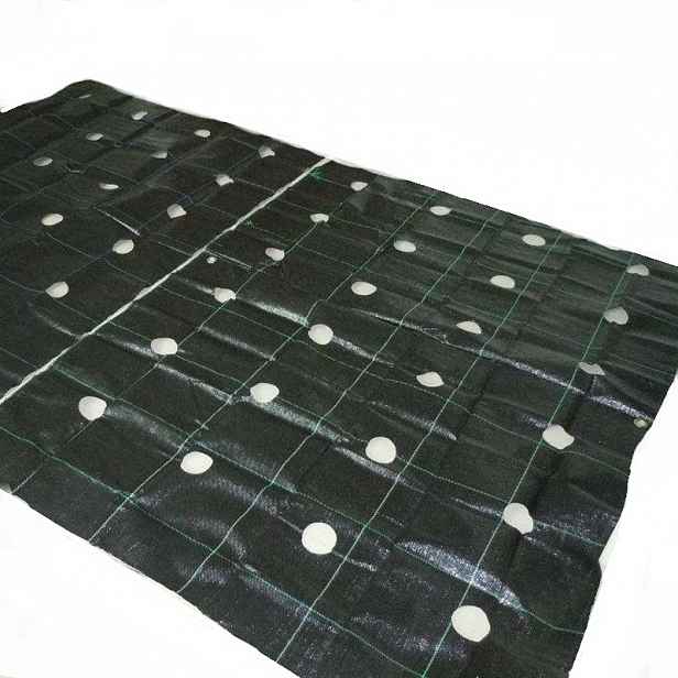 Agrotextilie Otvory pro sazenice 1,6 x 10 m Hrubá 95 g S Uv zářením