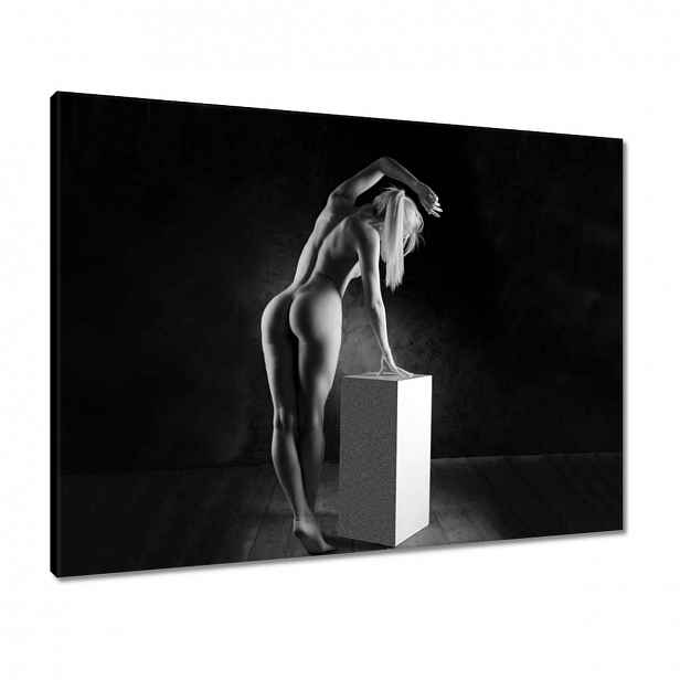 Obrazy 80x60 Žena Akt Černobílý