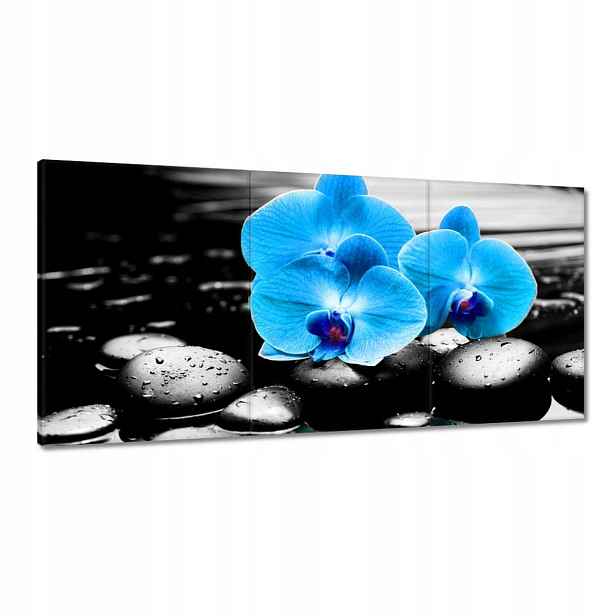 Obrazy 120x60 Modrý orchidej