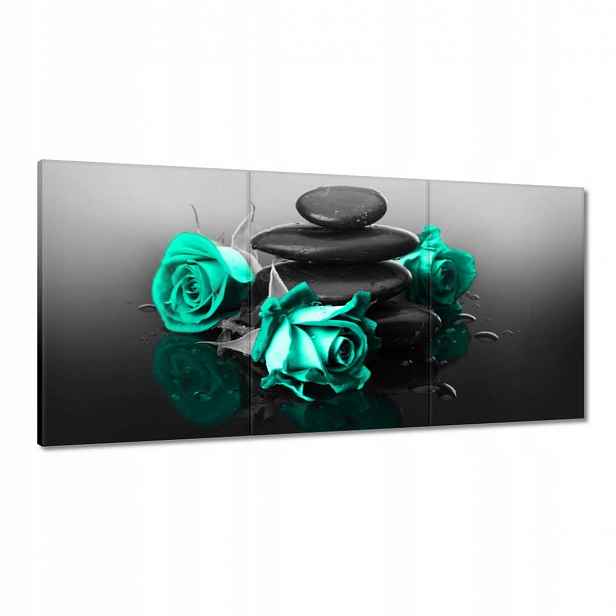 Obrazy 120x60 Mátová růže Spa Wellness