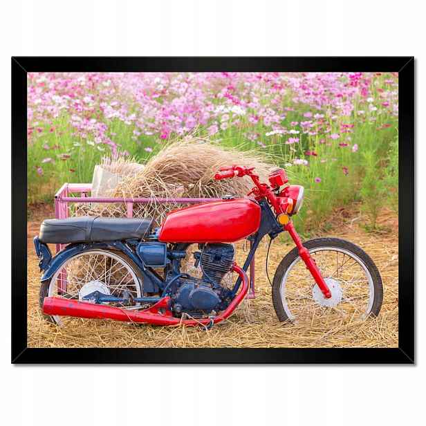 Plakáty v rámu 40x30 Červený motocykl Květiny