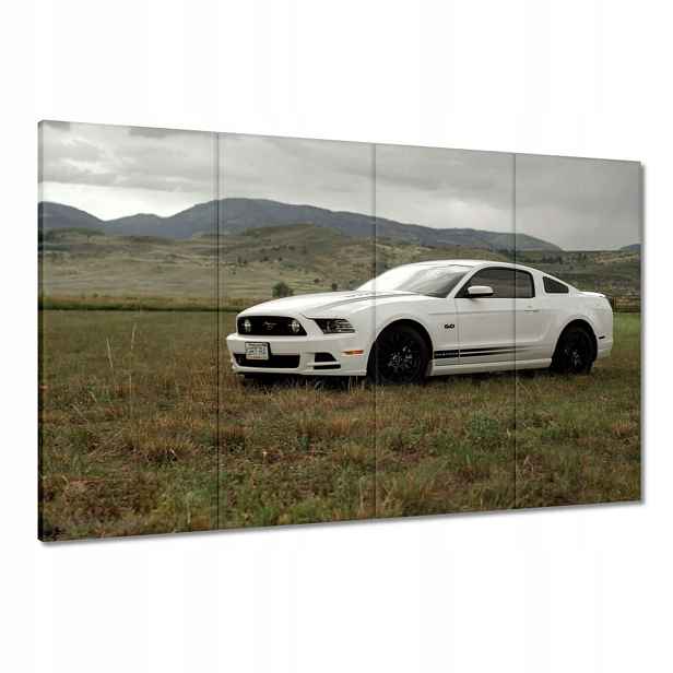 Obrazy 120x80 Bílý Ford Mustang