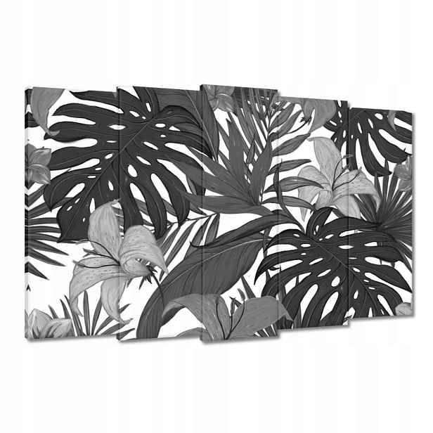 Obrazy 150x95 Černobílá monstera