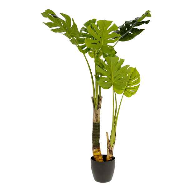 Umělá monstera (výška 130 cm) – Kave Home