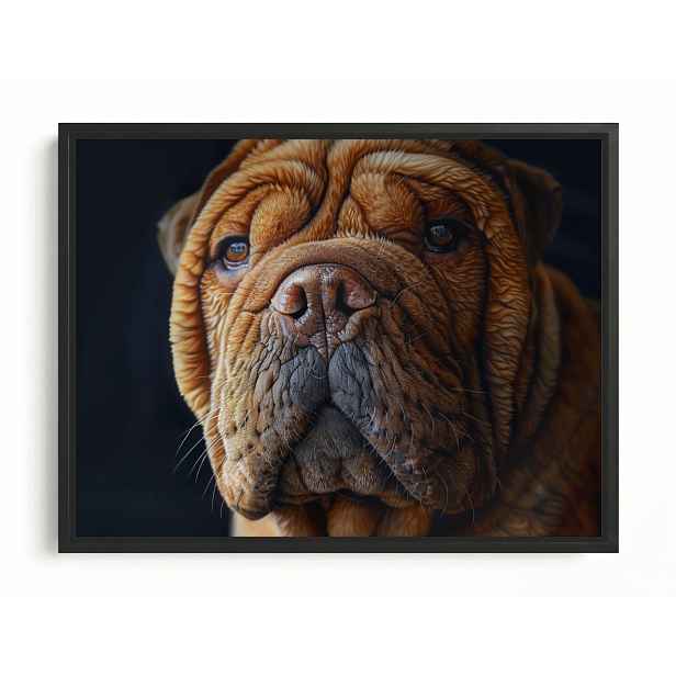Obraz Rám American Box Zvíře Portét Zvířátko Mazlíček Pes Shar Pei 80x60