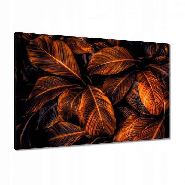 Obrazy 90x60 Oranžové listy