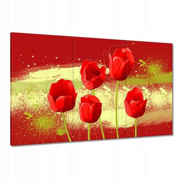 Obrazy 120x80 Červené máky na červeném pozadí Květiny