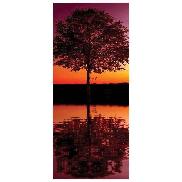 Samolepka Fototapeta Strom Západ Slunce Voda Klid Harmonie Ticho 91x211