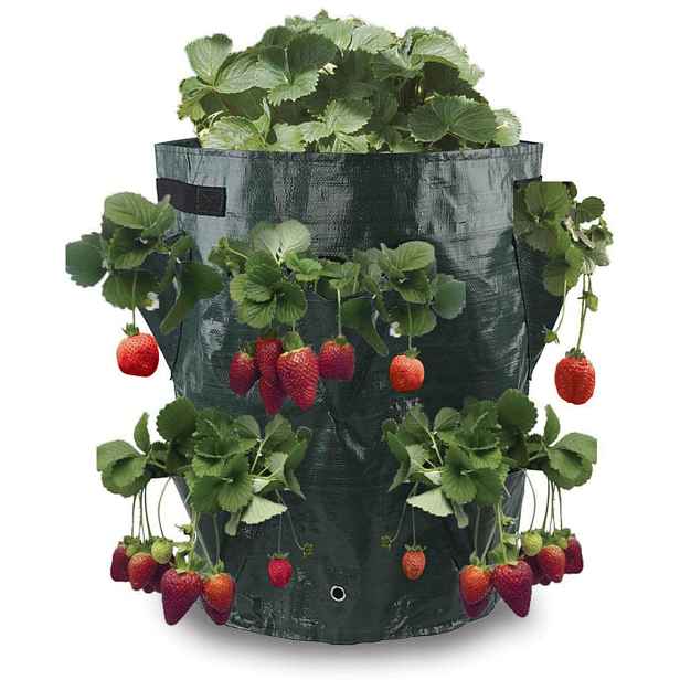 VAXON Pytel na pěstování jahod 34 x 45 cm - 43L 1201