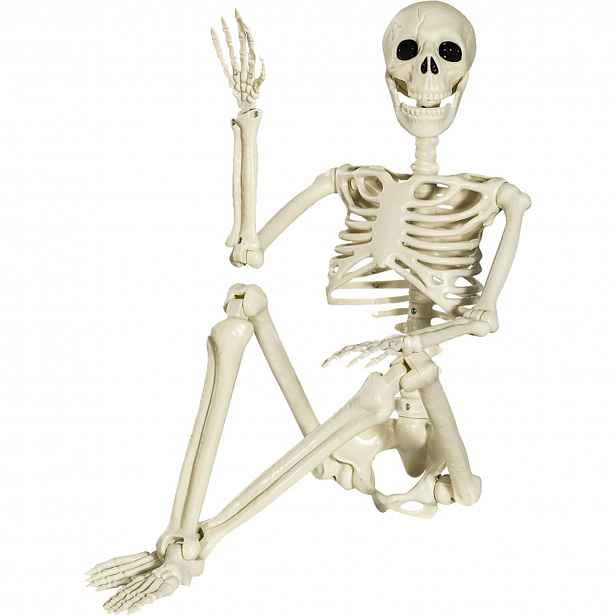 Pohyblivý kostlivec Model Kostlivec Dekorace Skeleton Na Halloween 90 Cm
