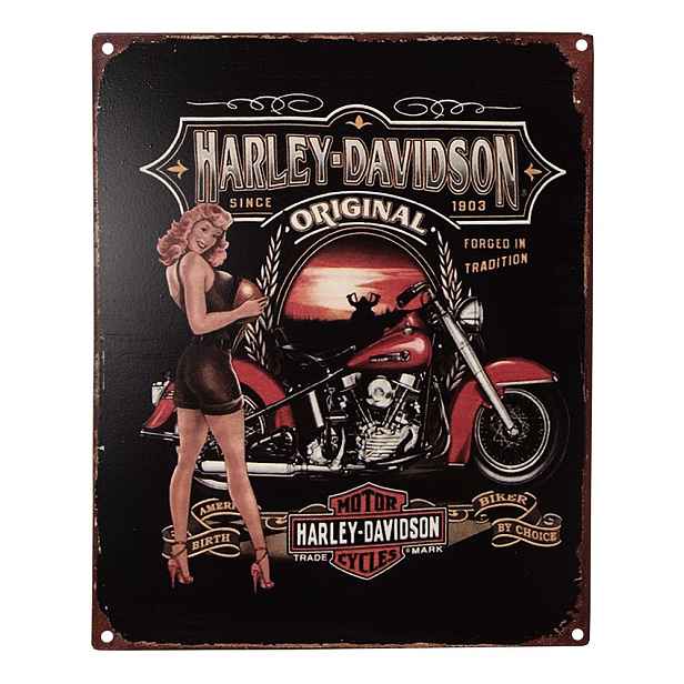 Černá nástěnná kovová cedule Harley Davidson - 20*1*25 cm Clayre & Eef