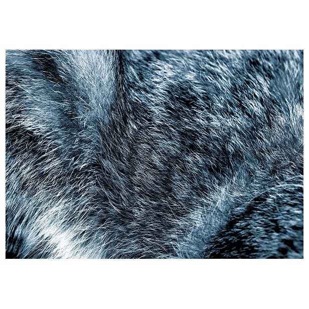 Tapeta Měkké Kožešina Šedo-Bílé 250x175 Útulná Textura design lepidlo