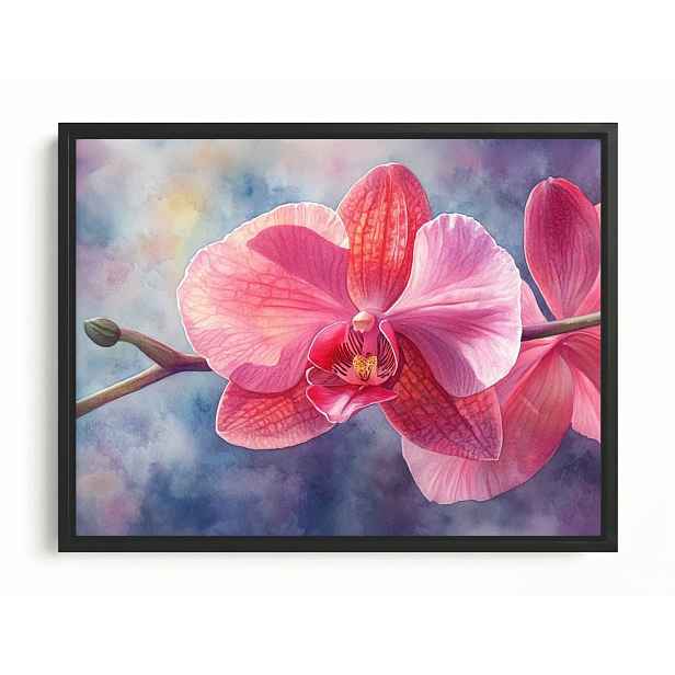 Obraz Rám American Box Grafika Orchidej Květ Růžový Orchidej 80x60
