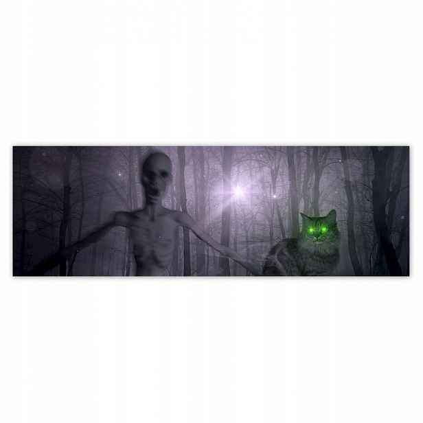 Plakáty 200x66 Kočka Alien Limetka Kočky