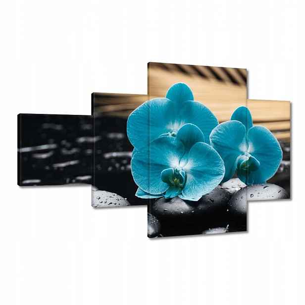 Obrazy 130x80 Tyrkysový orchidej Květina