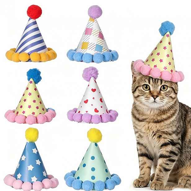 TEMU 6 mini párty kloboučků, pro plyšové zvířecí párty kloboučky s bambulemi, barevné narozeninové kloboučky, vhodné pro plyšové hračky, kočky, psy,