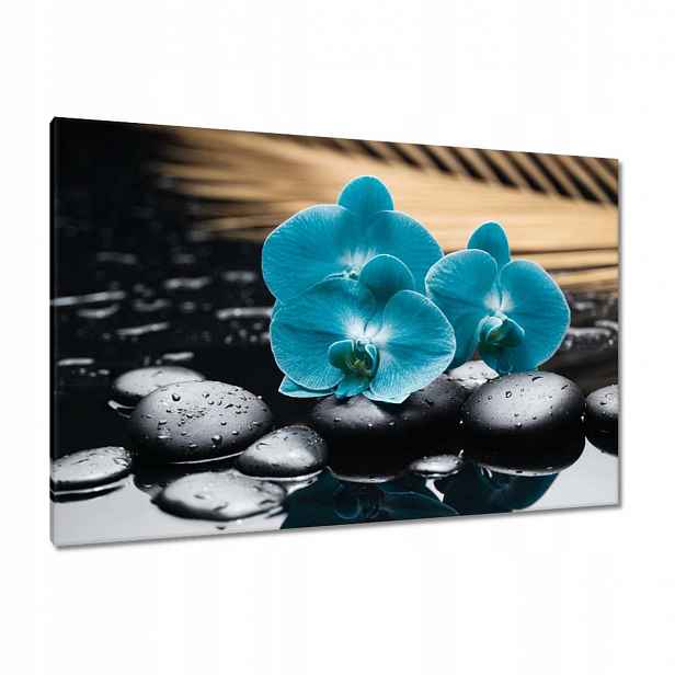 Obrazy 120x80 Tyrkysový orchidej Květina