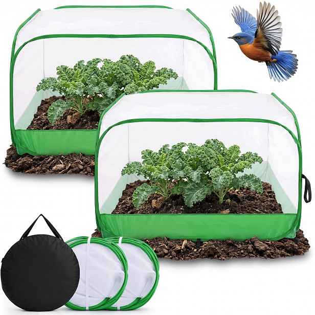 Pop-up Ochranná Síť Pro Rostliny Na Zeleninu, Ovoce A Sazenice 100 X 100 CM